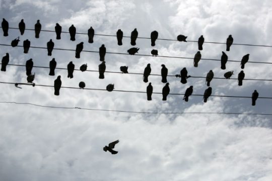 Βροχές, κρύο και χιόνια στα ορεινά