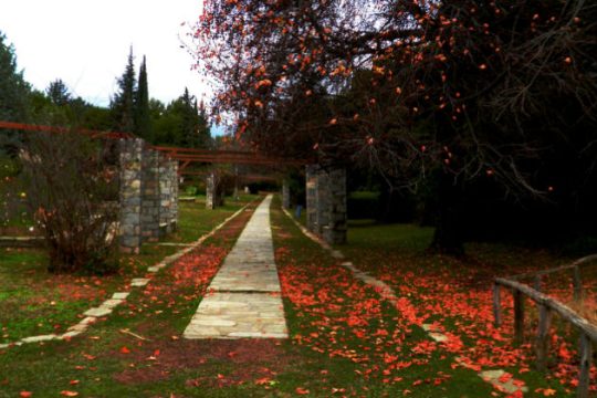 Μικρή πτώση της θερμοκρασίας