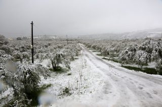 Εμείς, τον σταυρό μας