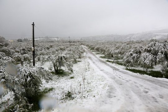 Εμείς, τον σταυρό μας