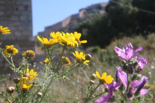 Καλοκαιρία και σκόνη από την Αφρική