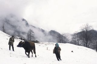 Aπό τα βουνά της Τραπεζούντας στη μαφία της Ρώμης