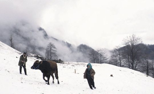 Aπό τα βουνά της Τραπεζούντας στη μαφία της Ρώμης