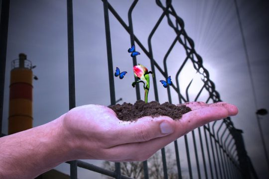 Η καταγωγή της ιεραρχίας και των ταξικών κοινωνιών