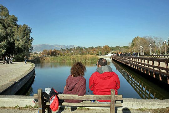 Ανθοφορία… χρηματοδότησης στο Πάρκο Τρίτση