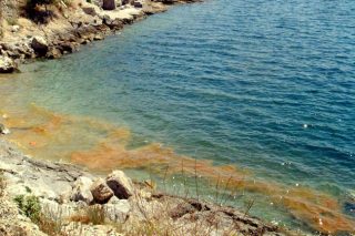 Θαλάσσια ρύπανση από εργασίες γεώτρησης στο Ρέθυμνο