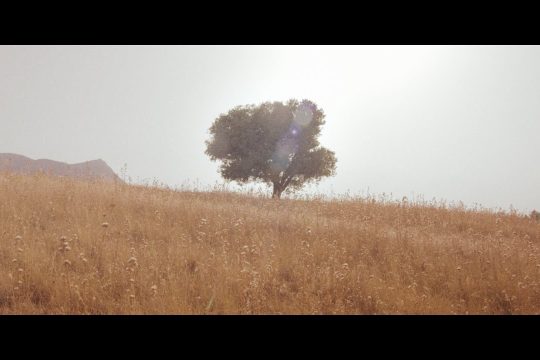 Χωράει μια πυρκαγιά σ’ ένα σπιρτόκουτο;
