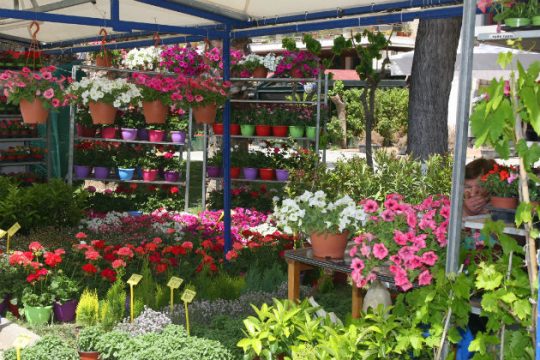 Εγκαινιάστηκε η 7η Ανθοκομική Έκθεση Πειραιά