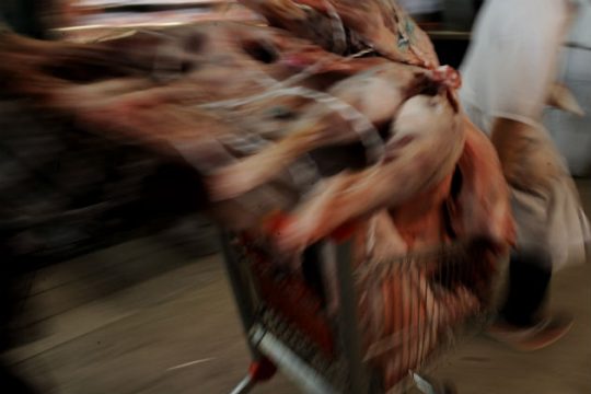 Στο κυνήγι των προσφορών