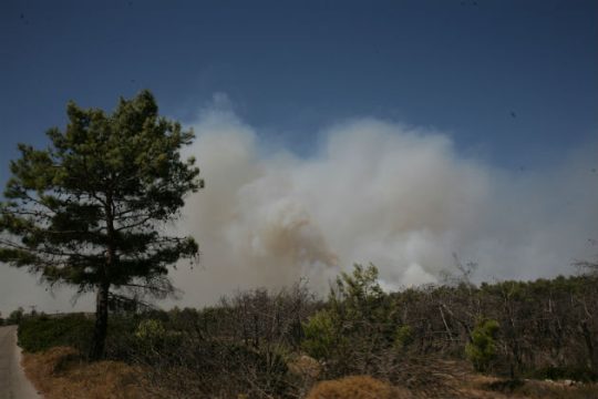 Κατανομή 16,8 δισ. σε δήμους για πυροπροστασία
