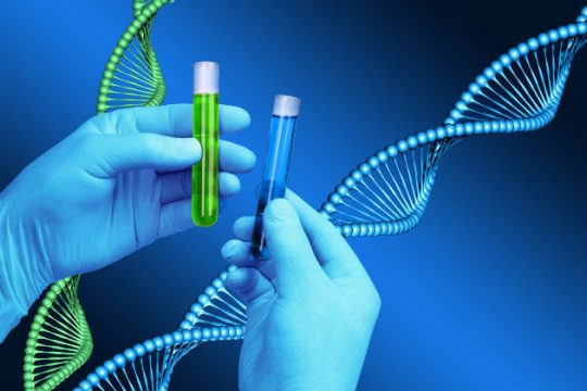 Πρωτεΐνες που επιδιορθώνουν βλάβες του DNA από το ΙΤΕ