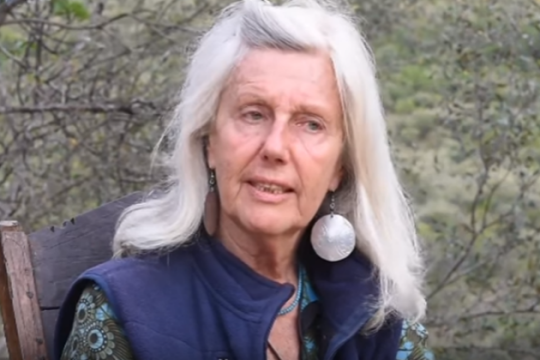 Πυροβόλησαν και τραυμάτισαν τη συγγραφέα Κούκι Γκάλμαν