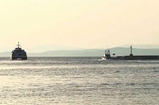 Διακινητής μεταναστών και χρυσαυγίτης;