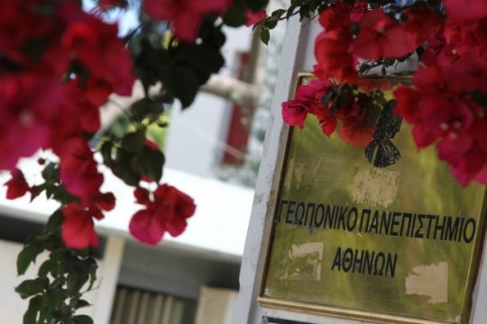 Η ληστεία, τα ΜΜΕ, οι συγγένειες και οι… Πυρήνες