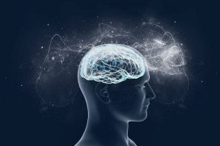 Γονίδια και νοημοσύνη: μια όλο και πιο περίπλοκη σχέση
