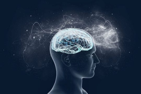 Γονίδια και νοημοσύνη: μια όλο και πιο περίπλοκη σχέση