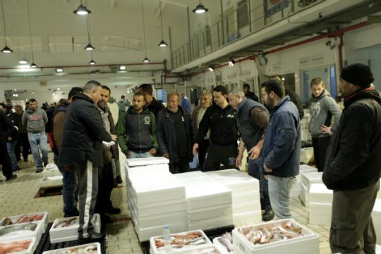 Κεράσματα σε αγορές και ιχθυόσκαλες