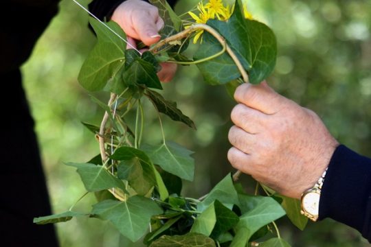 Η διολίσθηση της υγείας και η ίαση
