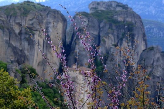 Βράχο βράχο τον καημό μου