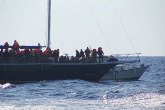 Διάσωση 41 προσφύγων ανοιχτά του Κατακόλου