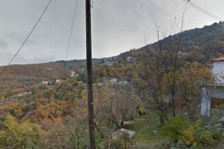 Ανθισμένο σκυλάκι σε παραθύρι της Ιστορίας