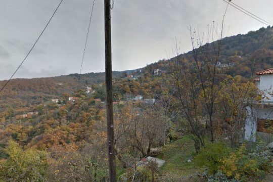Ανθισμένο σκυλάκι σε παραθύρι της Ιστορίας