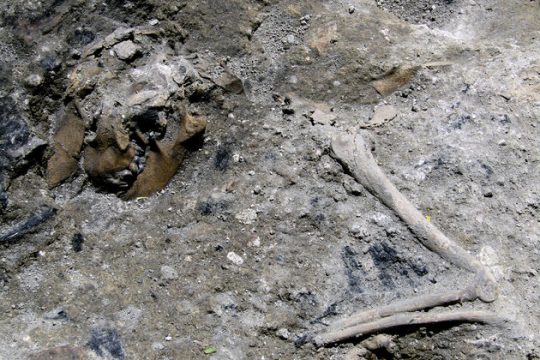 Εικόνα Πομπηίας στο μετρό της Ρώμης