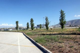 Το Ελληνικό, τα αρχαία και η δασική έκταση