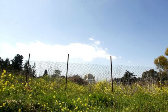 Πράσινο Ταμείο και γήπεδο Παναθηναϊκού
