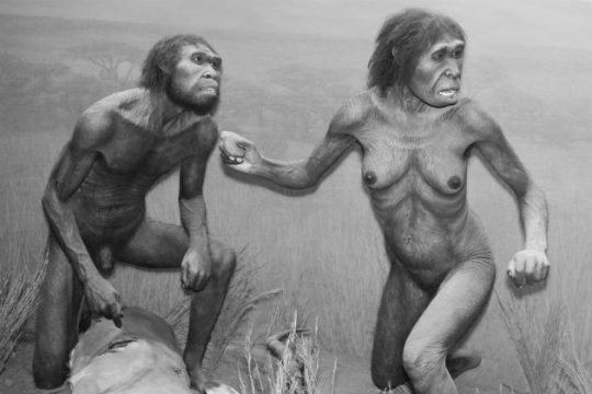 Τα αρχαιότερα οστά Homo sapiens βρέθηκαν στο Μαρόκο