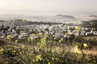 Για να δούμε… πράσινη μέρα