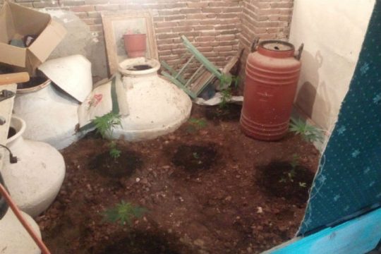 Καλλιεργούσε χασίς μέσα στο σπίτι του
