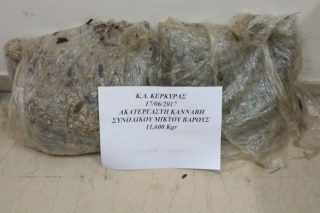 Κατασχέθηκαν 12 κιλά χασίς
