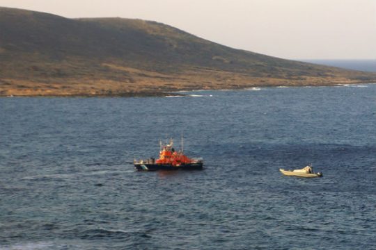Συλλήψεις και κατάσχεση όπλων και ναρκωτικών