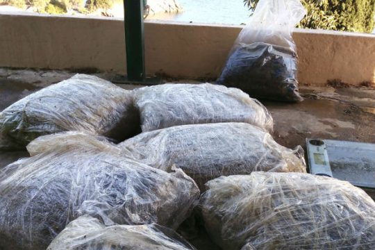 Εντοπίστηκαν ναρκωτικά στη θάλασσα της Παλαιοκαστρίτσας