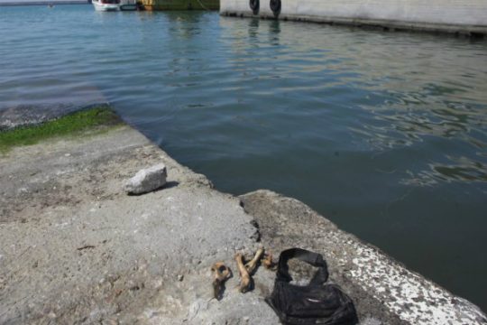 Ηράκλειο: Αναγνωρίστηκαν τα οστά που βρέθηκαν στην προβλήτα