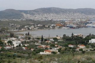 Νεκρές θαλάσσιες χελώνες στη Σαλαμίνα