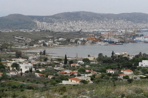 Νεκρές θαλάσσιες χελώνες στη Σαλαμίνα