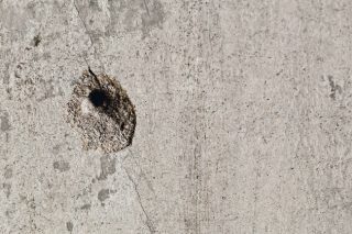 Μια αδέσποτη καταγγελία για μια «αδέσποτη» σφαίρα