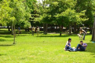 Φοιτητικές «πράσινες οάσεις» στις πόλεις
