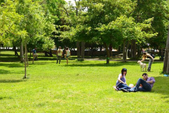 Φοιτητικές «πράσινες οάσεις» στις πόλεις