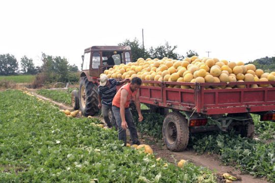 Παροχές για 330.000 αγρότες