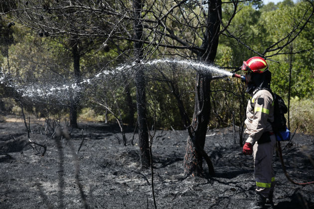 Πενήντα πυρκαγιές το τελευταίο 24ωρο σε όλη την Ελλάδα