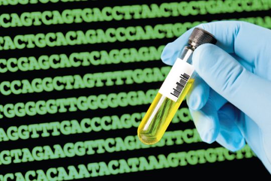 Το φαινόμενο CSI και το φάντασμα του Χέιλμπρον