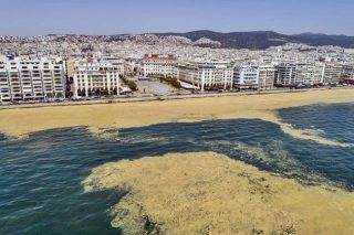 Η βλέννα ήρθε για να μείνει