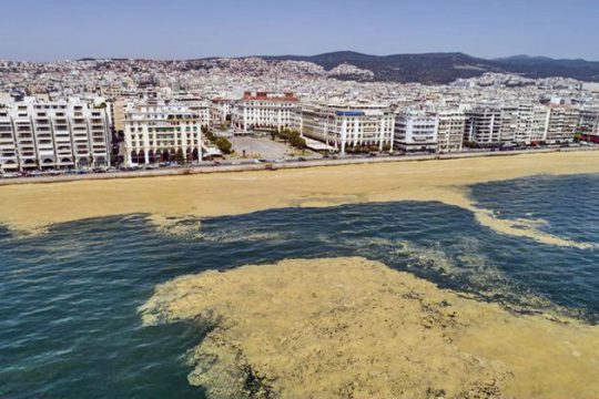 Η βλέννα ήρθε για να μείνει