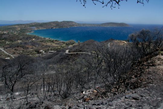 Σε ύφεση τα πύρινα μέτωπα στη Μάνη