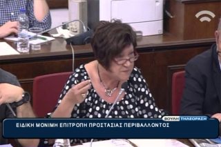 «Ακυρώστε τώρα το σχέδιο για αεροδρόμιο στο Καστέλλι»