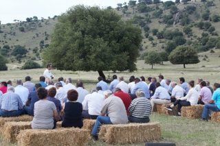 Λίγο σκοτάδι, παρακαλώ!
