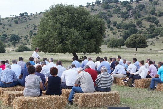 Λίγο σκοτάδι, παρακαλώ!